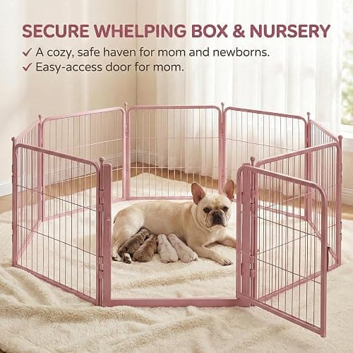 Freepet Pink Dog Playpen for Small Dogs & Puppies - 24 Inch Metal Pet Fence Indoor Outdoor with Door, Foldable Exercise Pen, Portable Rabbit Enclosure for Camping, RV, Yard (8 Panels) thumbnail 3
