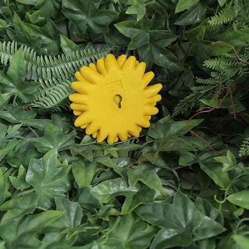 Vivid Arts - Marguerite jaune à suspendre avec abeille – Décoration de jardin à l'intérieur ou à l'extérieur thumbnail 9