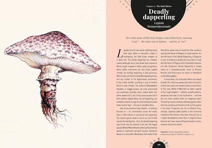 Kew - The Magic of Mushrooms: Fungi in folklore, superstition and traditional medicine (Royal Botanic Gardens, Kew) thumbnail 14
