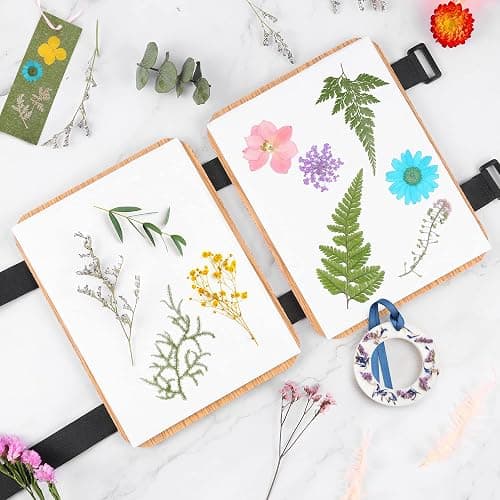 Suziko Kit Professionale per Pressare Fiori - 6 Strati, 16x21 cm, Kit per Pressare Fiori per Adulti e Bambini - Ottimo Regalo per gli Amanti delle Arti e dei Mestieri thumbnail 3
