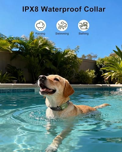 Jugbow Dog Shock Collar - 4500FT Dog Training Collar with Remote, IPX8 Waterproof Electric Dog Collar with 4 Training Modes, Security Lock, Rechargeable eCollar for 10-120lbs Small Medium Large Dogs thumbnail 4