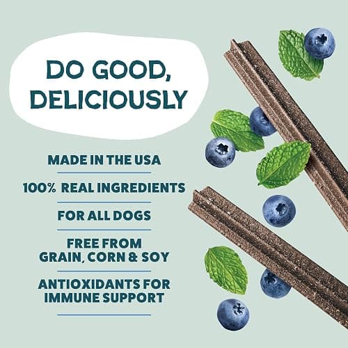 Shameless Pets Blueberry & Mint Dental Chews for Dogs, 8 Chews - Natural Dog Teeth Cleaning Treats with Fresh Breath Benefits | Grain-Free Dental Sticks for Small, Medium & Large Dogs thumbnail 3