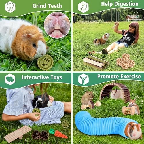 Kyouki Hamster Toys Guinea Pig Toys Set with Tunnel, Chewable Apple Wood & Natural Timothy Hay - Enrichment Chew Toys for Small Animals - 24+ Cage Accessories for Teeth Care & Boredom Relief (Blue) thumbnail 4