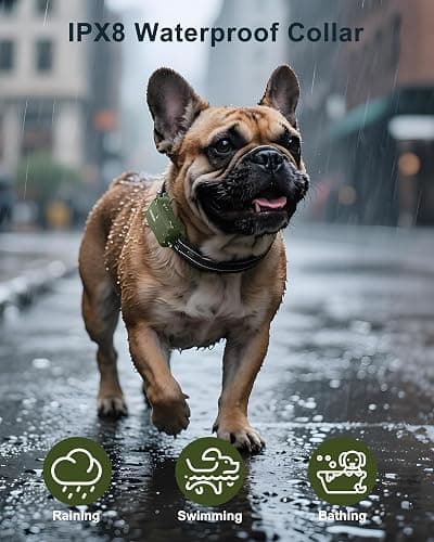 Jugbow Dog Shock Collar - 4500FT Dog Training Collar with Remote, IPX8 Waterproof Electric Dog Collar with 4 Training Modes, Security Lock, Rechargeable eCollar for 10-120lbs Small Medium Large Dogs thumbnail 4