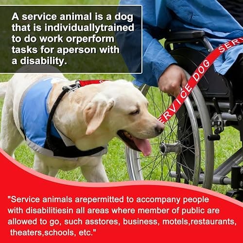 YeeBeny Service Dog Leash Emotional Support Leash Red 0.94 Width | service dog collarwith Neoprene Handle and Reflective Lettering, Service Dog Stuff for Vest for Harnesses, Vests or Collars thumbnail 5