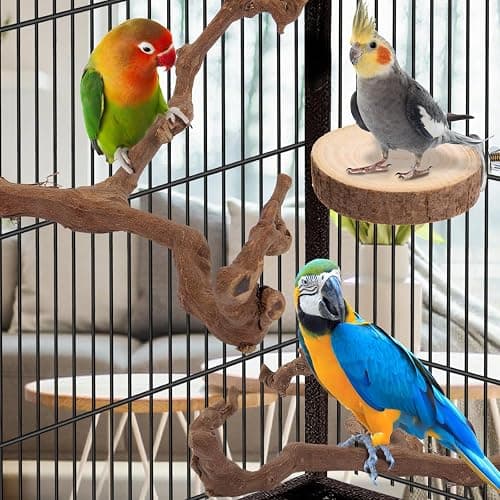 Parrot Perch Bird Perch Stand Set Natural Wild Wood Grape Sticks Paw Grinding Fork Parakeet Climbing Standing Branches Toys Cage Accessories for Conure,Cockatiels Lovebirds,Budgies Chewable 6PC thumbnail 5