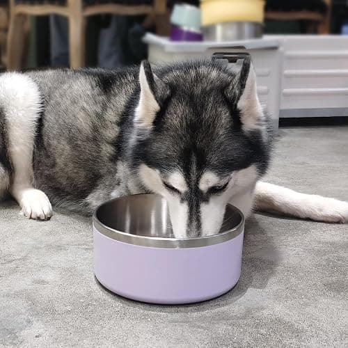 LIHOOOOM Dog Bowl, Anti-Slip Dog Water Bowl and Food Bowl, Non-Rusting Stainless Steel Dog Bowls, Durable and Easy to Clean, Suitable for Medium and Large Dogs (64Ounces, Lightpurple) thumbnail 6