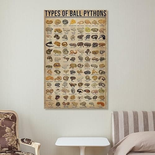 AMZPOSTERLN Vintage Snake Breeds Poster Knowledge Canvas Art Aesthetic And Wall Art Picture Decor Poster12x18inch(30x45cm) thumbnail 7