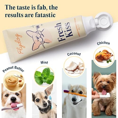 FlyDog Fresh Kiss Dog Tooth Brushing Kit - Vet Approved Formula, Enzymatic Dog Toothpaste and Brush - Breath Freshener & Tartar Remover, 360° Toothbrush & Finger Brush, Dental Guide, Chicken Flavor thumbnail 6