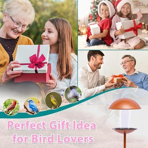 Goodeco Bird Feeder with Pole Standing - Metal Outdoor Bird Feeder for Wild Small Birds, Perfect for Yard Lawn Garden & Patio Decorations, Ideal Gifts for Mom Dad Grandparents (Round) thumbnail 8