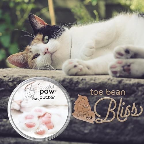The Blissful Cat Paw Butter, Moisturizer for Dry Paw Pads, Softens and Protects Rough Feet, Versatile, Lick-Safe Balm, 2 oz. thumbnail 8