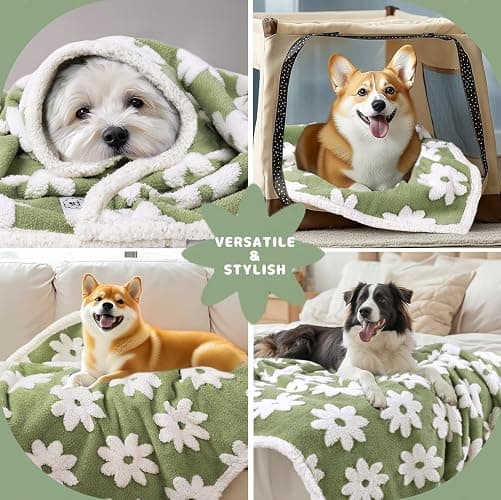 Luciphia Waterproof Pet Blanket for Medium Large Dogs Washable Fluffy Thick Jacquard Shag Fleece Warm Sherpa 3D Textured Flower Print for Cats Puppy Couch Protection (Green,40x28 inches) thumbnail 5