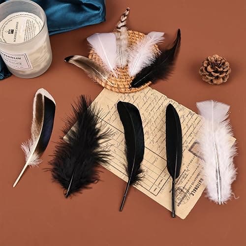 FeelfunFeather 300 pcs Small Feathers - 10 Style Mixed Spotted Decorative Natual Pheasant Feather for DIY Crafts Clothing Jewelry Hair Decoration(Natural,Black,White) thumbnail 5