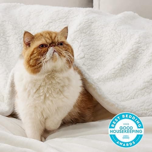 Bedsure GentleSoft Sherpa Fleece Twin Size Blanket for Couch, Non-Heated, Thick and Warm Throw for Women and Men, Soft Fuzzy Plush Twin Blanket for Spring, Cream, 60x80 Inches thumbnail 4