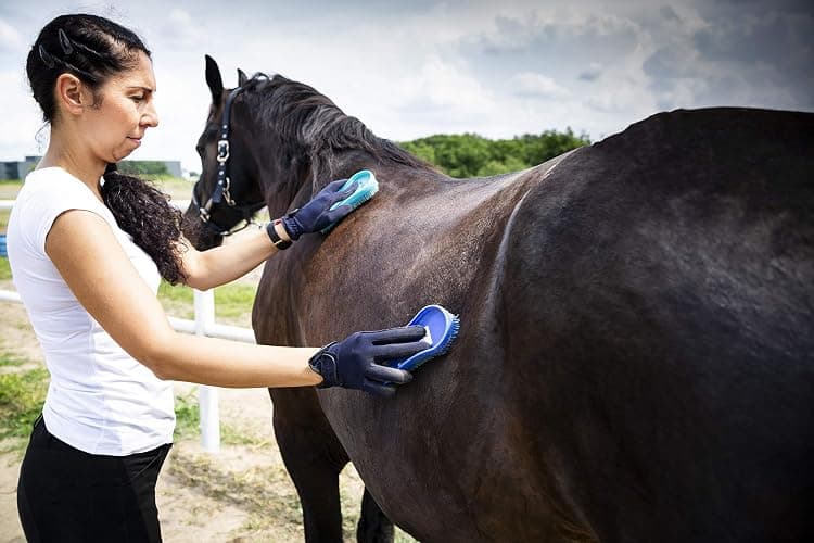 Intrepid International Magic Horse Brush, for Horse Grooming Kit w/Durable Plastic Bristles, Horse Brushes for Grooming, Removes Dirt, Sweat, Grime, Black thumbnail 2