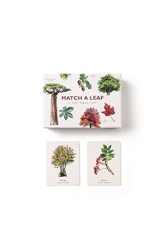 Match a Leaf: A Tree Memory Game thumbnail 6