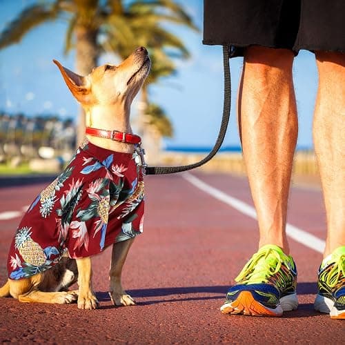Weewooday 4 Pieces Small Pet Summer T-Shirts Hawaii Style Floral Pet Dog Shirt Breathable Cool Clothes Beach Seaside Puppy Sweatshirt for Puppy(Cute Style,Small) thumbnail 5
