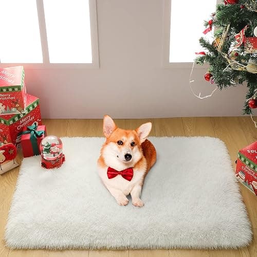 Merelax Soft Modern Indoor Shaggy Area Rug for Bedroom Livingroom Dorm Kids Room Home Decorative, Non-Slip Plush Fluffy Furry Fur Rugs Comfy Nursery Accent Floor Carpet 2x3 Feet, Ivory thumbnail 7