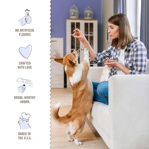 Three Dog Bakery Blueberry Pancake Bites, Treats with Real Blueberries & Vanilla, Mess-Free Snacks & Training Cookies for Dogs & Puppies, Human-Inspired thumbnail 4