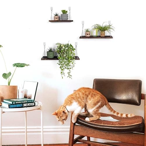 MITIME Floating Wall Shelves, Rustic Wood Wall Mounted Shelf Set of 3 | No Drill Adhesive Renter Friendly Floating Shelf, Display Rack for Plants Decor Bedroom Bathroom Kitchen thumbnail 2