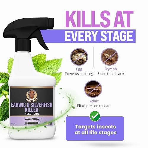 Granny Dee’s Earwig & Silverfish Killer Indoor & Outdoor (Made in USA) - Kills Pests in 24 Hrs - Plant-Based Bug Killer with Peppermint Oil - Safe for Pets & Kids - Targets Earwigs, Ants, Insect Flies thumbnail 5