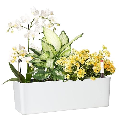 GardenBasix Self Watering Planter Pot