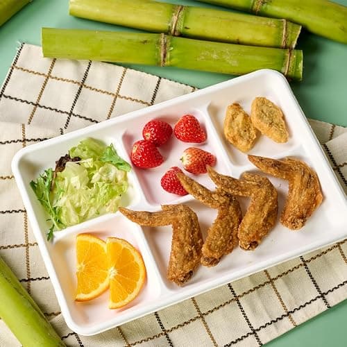 Turbo Bee Disposable 5 Compartment Plates, 100Pack Bagasse Divided Paper Trays, Heavy Duty Serving Plates for School Lunch, Meal Prep, Picnic and Buffet thumbnail 8