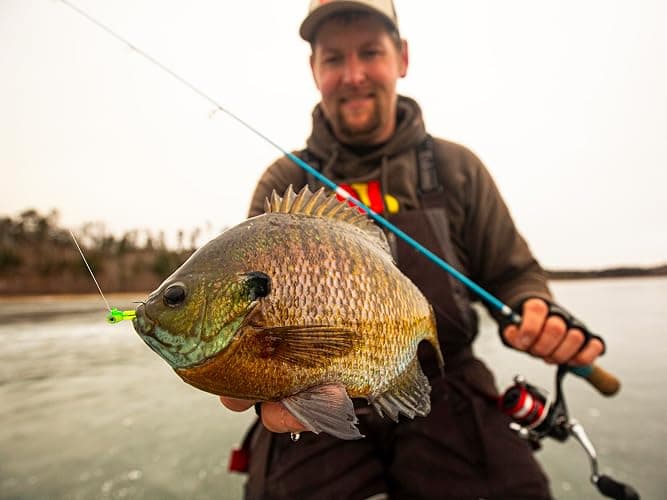 Northland Tackle Rigged Tungsten Pin Fry Ice Fishing Jig with Minnow Fry Body, 2 Pre-Rigged Jig Heads & 3 Extra Ice Fishing Plastics, Tungsten Jig Heads for Panfish, 1/16 Oz, Woodtick thumbnail 4