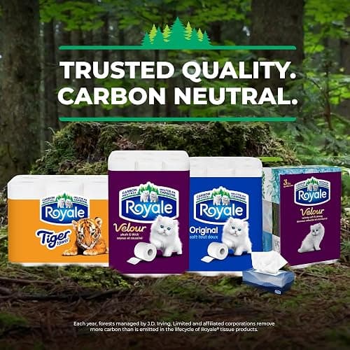Royale Tiger Strong Paper Towel, 12 Equal 30 Rolls, 123 Sheets per Roll thumbnail 2