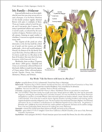 Botany in a Day: The Patterns Method of Plant Identification thumbnail 8