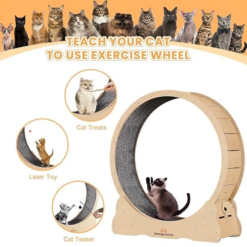 Homegroove Cat Exercise Wheel for Indoor Cats, 46" Large XL Cat Running Treadmill Wheel with Carpeted Runway for Kitty’s Longer Life, Natural Wood Color(XL) thumbnail 6