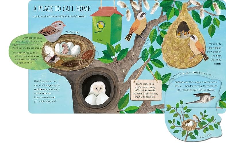 One Little Egg: Exploring Nature for Curious Kids thumbnail 5