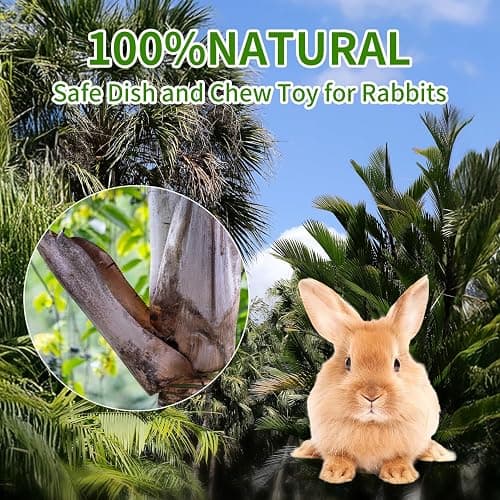 Jiaxix 30 Pcs Disposable Palm Leaf Bowls 4 inch Bowl for Rabbits, Compostable Like Bamboo Bowls Disposable Bowl Bunny Chew Toys Chewable Dish for Rabbits & Bunnies,Small Pets thumbnail 4