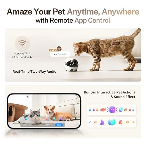 Enabot EBO ROLA Mini FamilyBot 2K Pet Camera Robot: Movable Indoor Camera Battery-Powered with Phone App, One-Touch Call, 2-Way Talk, Night Vision, Motion Detection, Video Recording thumbnail 5