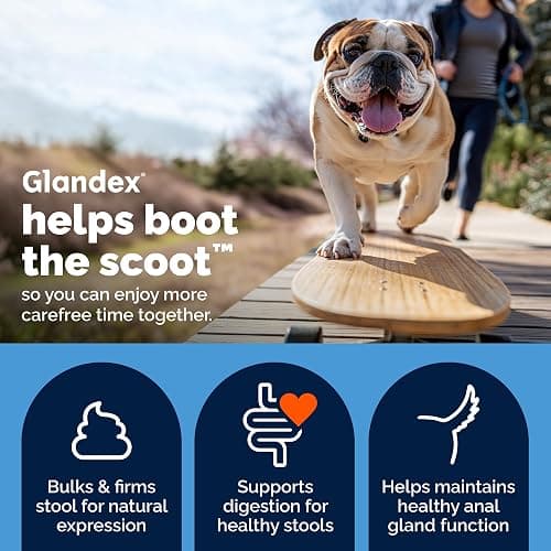 Vetnique Glandex for Dogs Anal Gland Chews 60ct Pumpkin + Digestive Enzymes | Anal Gland Dog Treats, Boot the Scoot + Fishy Odor Support, Fiber, Probiotics, Quercetin + Apple Pectin, Peanut Butter thumbnail 3