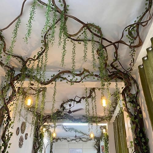 Bucherry 23 Pcs Artificial Hanging Vines, Jungle Party Decorations | Willow Greenery for Tropical Fairy Theme, Woodland Rainforest Wall, Enchanted Indoor Outdoor Jungle Party DIY Decorations thumbnail 3