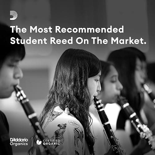 Rico Organic Bb Clarinet Reeds, Strength 2.5, 3 Pack | Rico Organic Bb Clarinet Reeds provide consistent response, easy playability, warm tone, and reliable performance. thumbnail 7