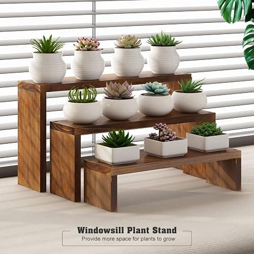 Tovacu Plant Stand Shelf for Desk Window Sill Countertop Succulent Stand Desktop Shelf 3 Tiers Small Wooden Tabletop Ladder Plant Shelves for Cupcake Stand Riser Spice Rack Holder thumbnail 2