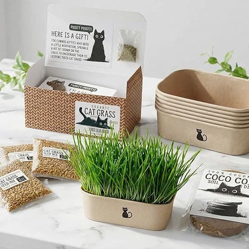 Cat Grass Grow Kit — 4-Batch Indoor Growing Set with Containers, Soil Disks & Seeds | Supports Digestion & Hairball Control | Ready to Grow, No Mess thumbnail 2