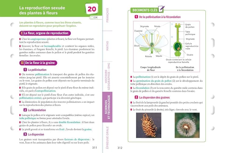 Fiches brevet - Le tout-en-un Brevet 2025 (toutes les matières): français, maths, histoire-géo EMC, SVT, physique-chimie, technologie thumbnail 5