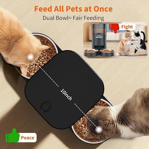 HoneyGuaridan Automatic Cat Feeder for 2 Cats,3.5L Dual Cat Food Dispenser, 2.4G/5G WiFi APP Control for Multiple Cats,2 Stainless Steel Bowls & 2 Slow Feeder Anti-Choking Bowls, Dual Power thumbnail 2