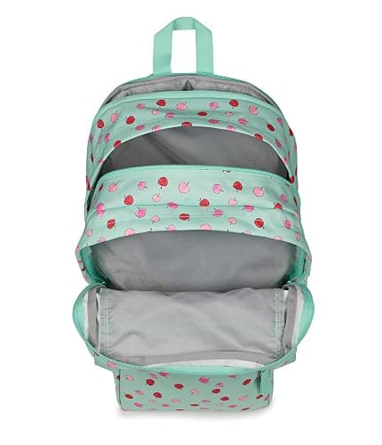 JanSport Laptop Backpack - Computer Bag with 2 Compartments, Ergonomic Shoulder Straps, 15” Laptop Sleeve, Haul Handle - Apple Orchard thumbnail 6