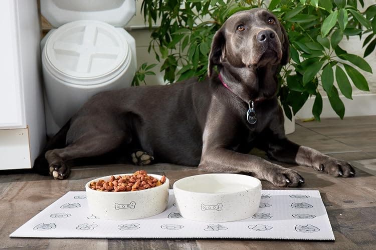 Pearhead Ceramic Dog Bowl – “Woof” Speckled Pet Food & Water Dish, Durable Stoneware, Non-Slip Heavy Base, 20 oz, Medium thumbnail 8