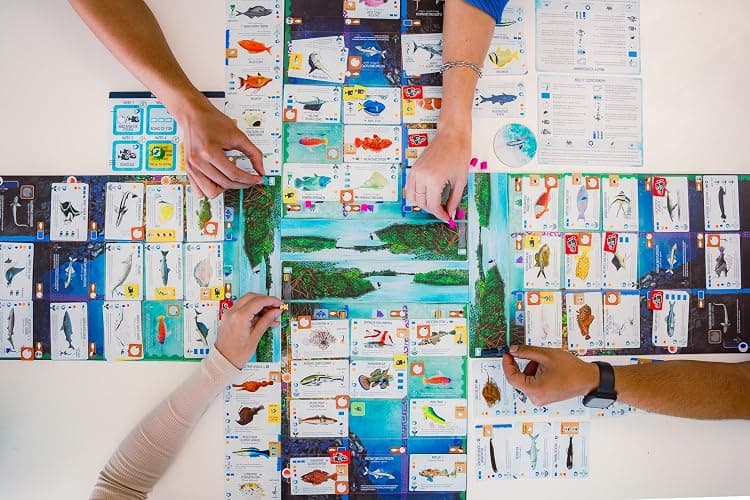 Finspan board game thumbnail 5