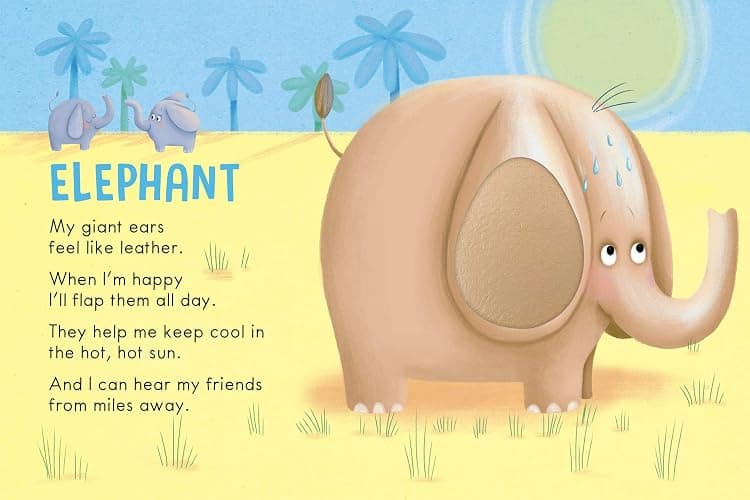 Wild Animals: A Touch and Feel Book - Children's Board Book - Educational thumbnail 7