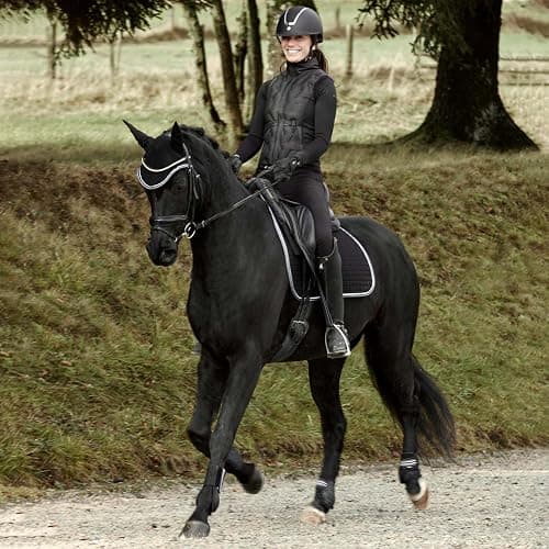 HORZE Adepto Open Front Tendon Boots | Durable Shell with Neoprene Lining - Black - Horse thumbnail 6