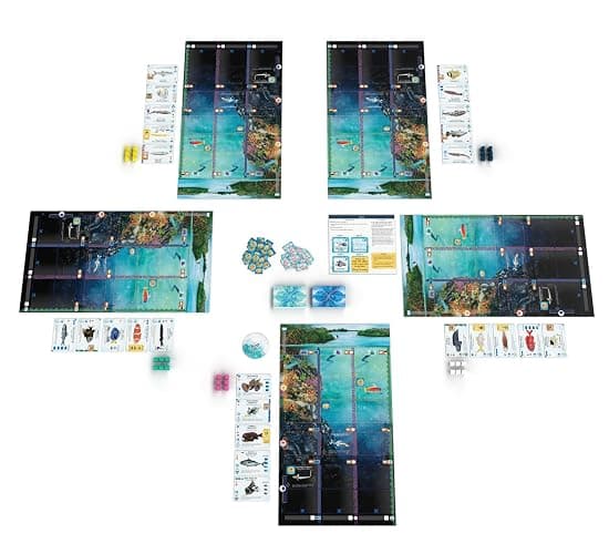 Finspan board game thumbnail 3