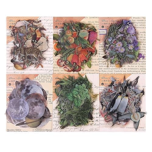 NOGAMOGA Nature Themed Transparent Pre-Cut Stickers for Scrapbooking, Pack of 240, Flora and Fauna Vintage Aesthetic Decorative Decals for Journaling Photo Album Collage Card Making Crafts thumbnail 7