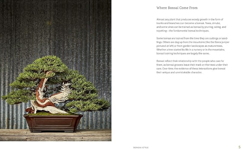 The Little Book of Bonsai: An Easy Guide to Caring for Your Bonsai Tree thumbnail 2