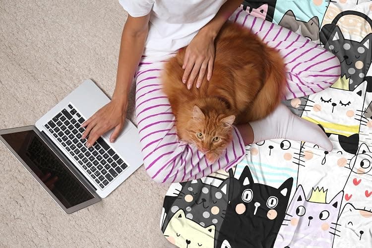Magrlily Cat Blanket Gifts for Cat Lovers Cats Throw Blanket Cute Cats Bedding Decor Stuff Gifts for Girls Women 50"x40" thumbnail 5